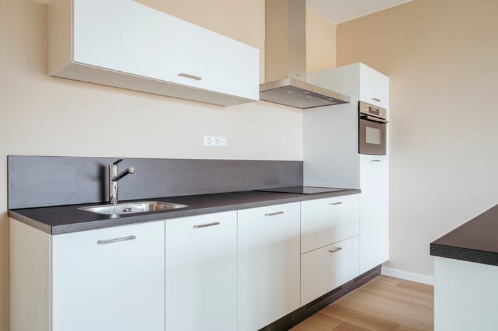 Foto 5 van Dudokstraat 46