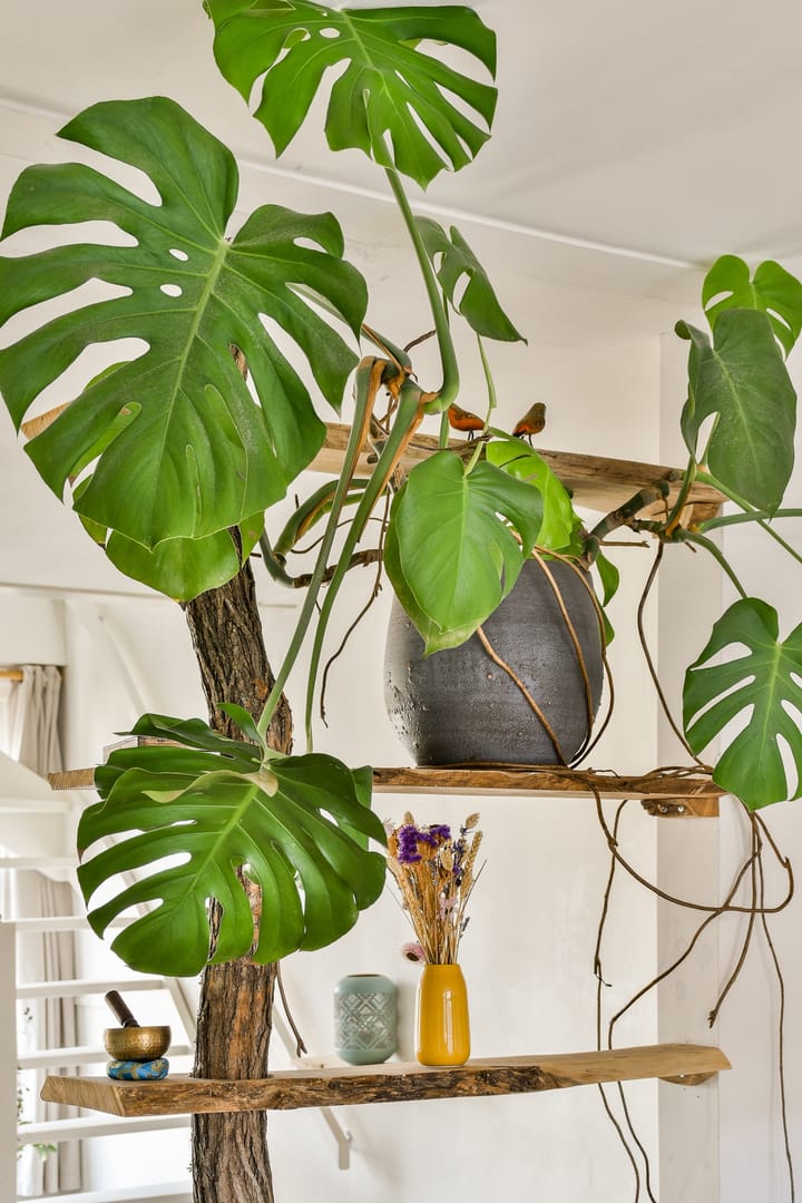 Foto 7 van Kijkduinstraat 63-3