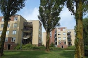 vrije-sector-woningen te huur op De Bongerd 52