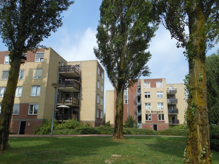 De Bongerd 52