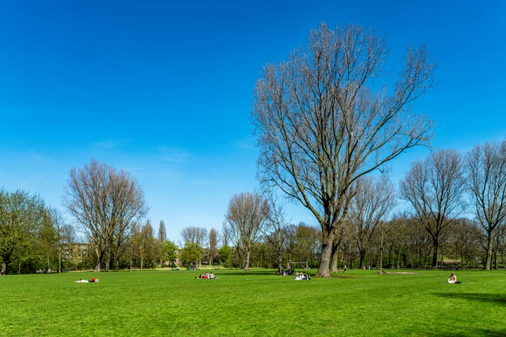 Foto 41 van Bos en Lommerplantsoen 99-L