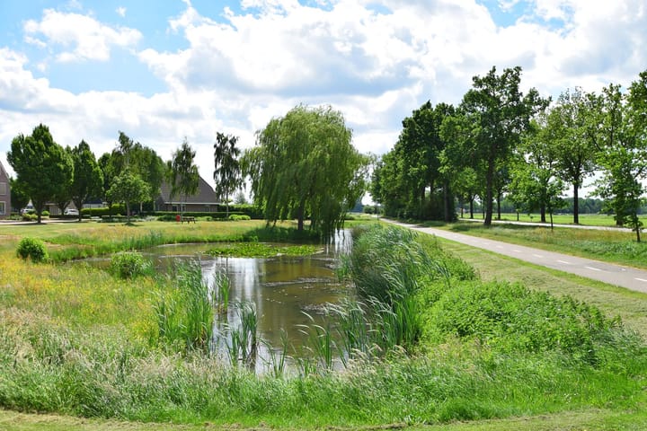 Foto 43 van Andrieserf 6