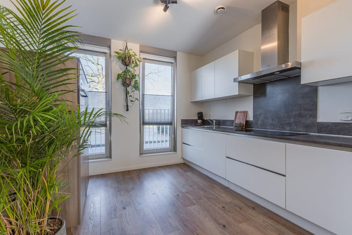 Foto 3 van Laagveen 27