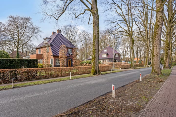 Foto 85 van Willem Tellstraat 19