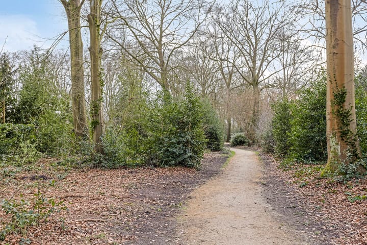 Foto 86 van Willem Tellstraat 19