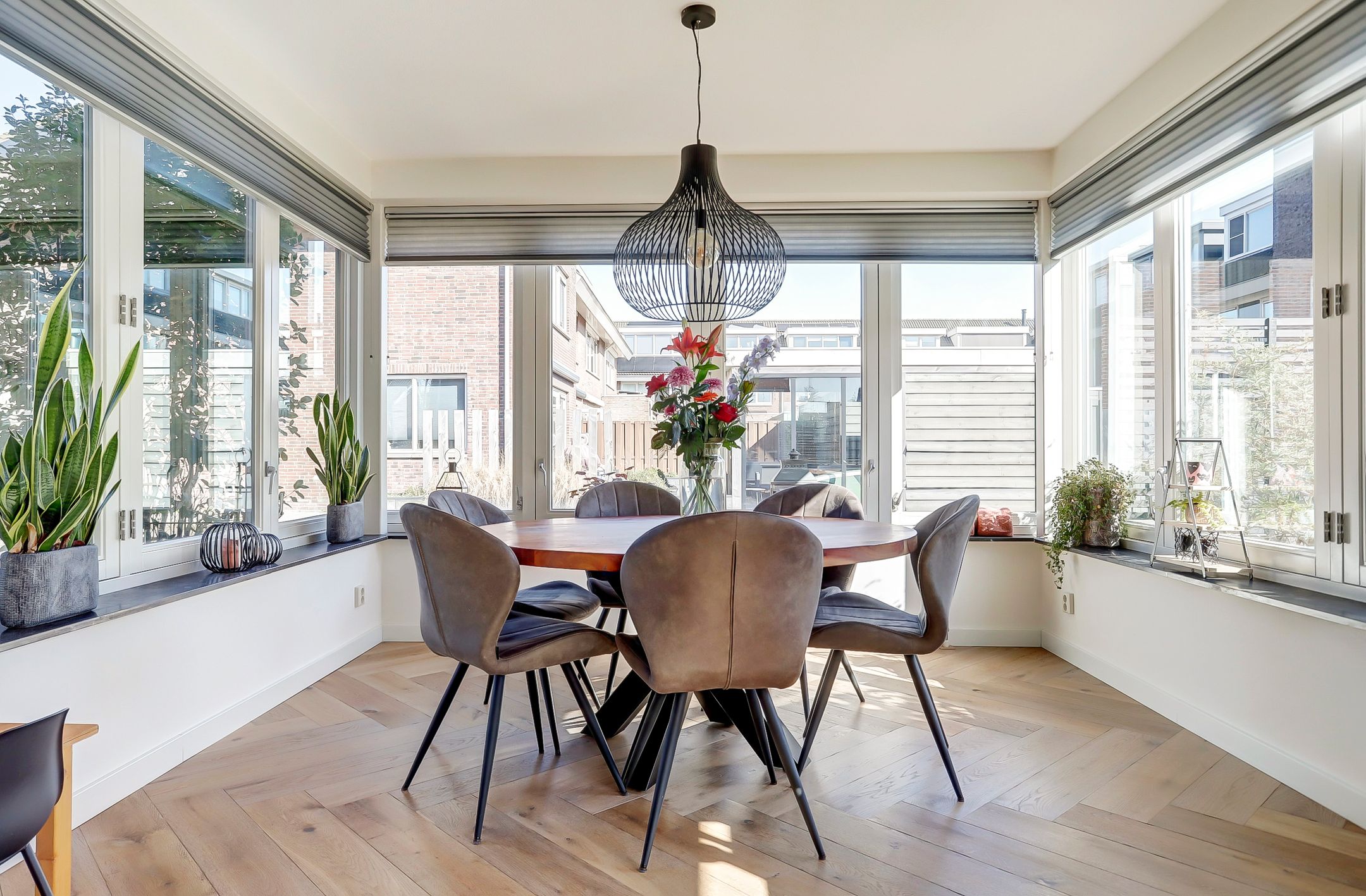 Foto 6 van Bruinvis 22