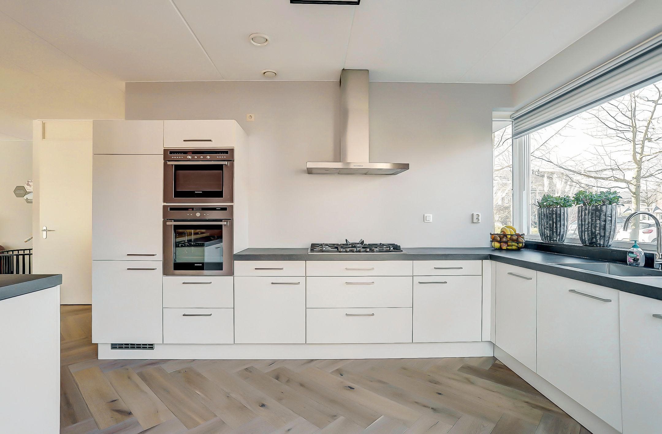 Foto 9 van Bruinvis 22