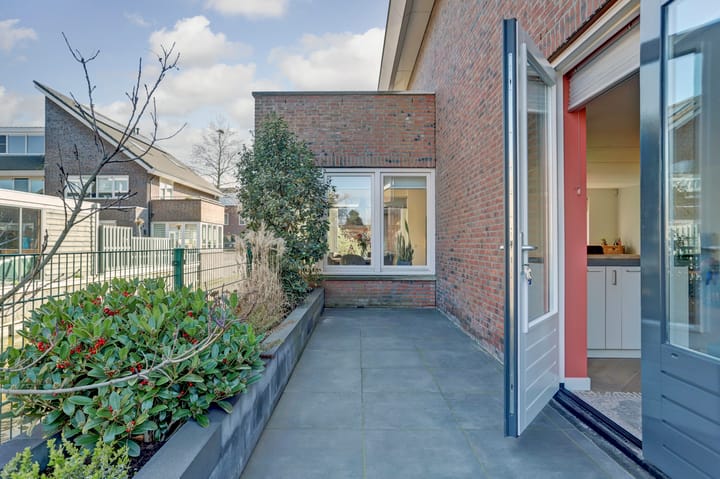 Foto 12 van Bruinvis 22