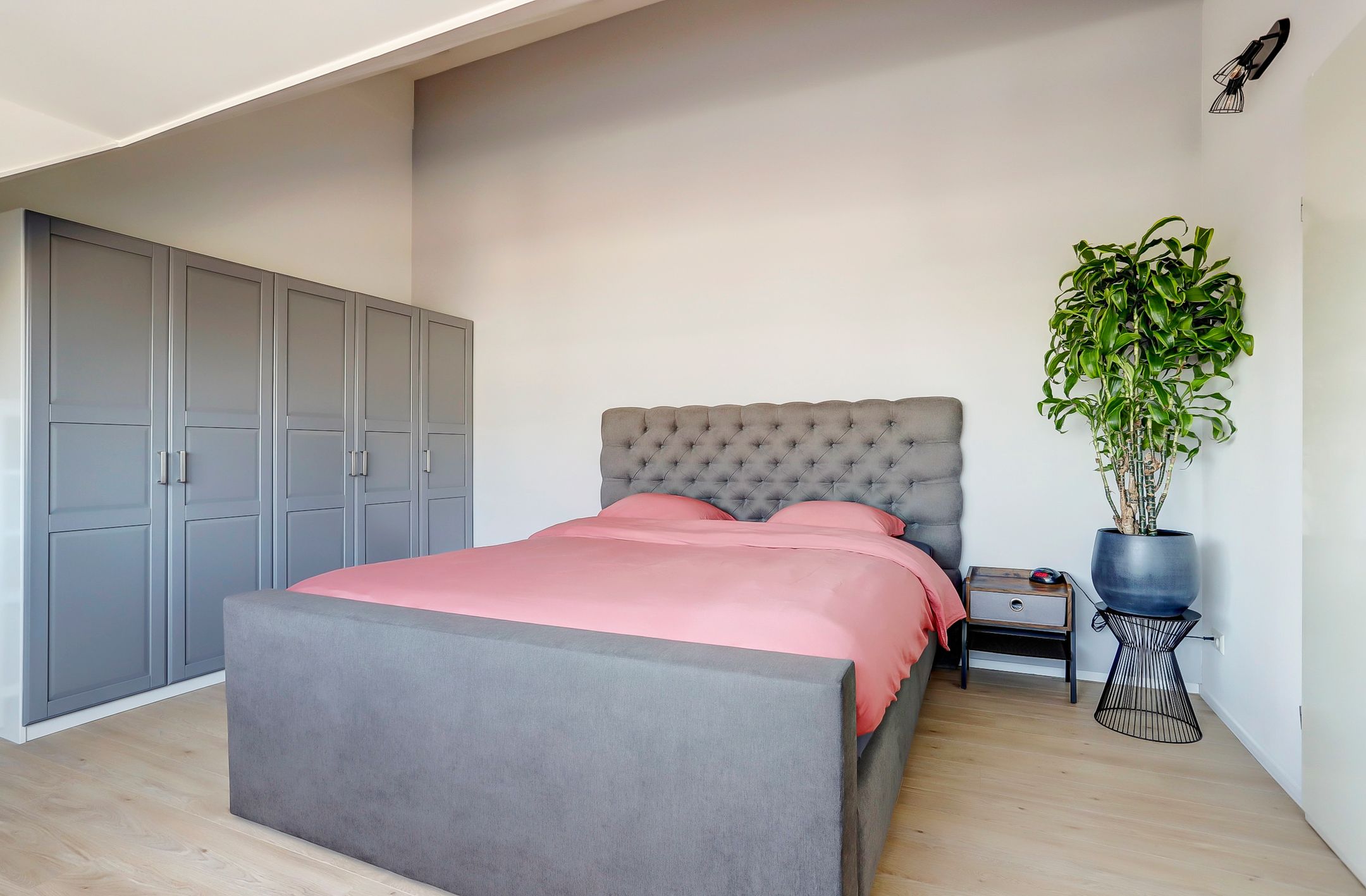 Foto 24 van Bruinvis 22