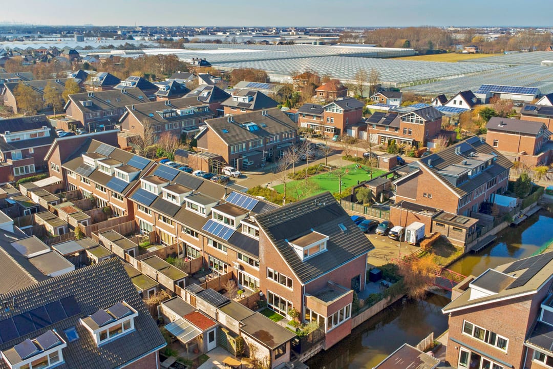 Foto 37 van Bruinvis 22