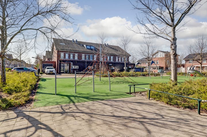 Foto 38 van Bruinvis 22