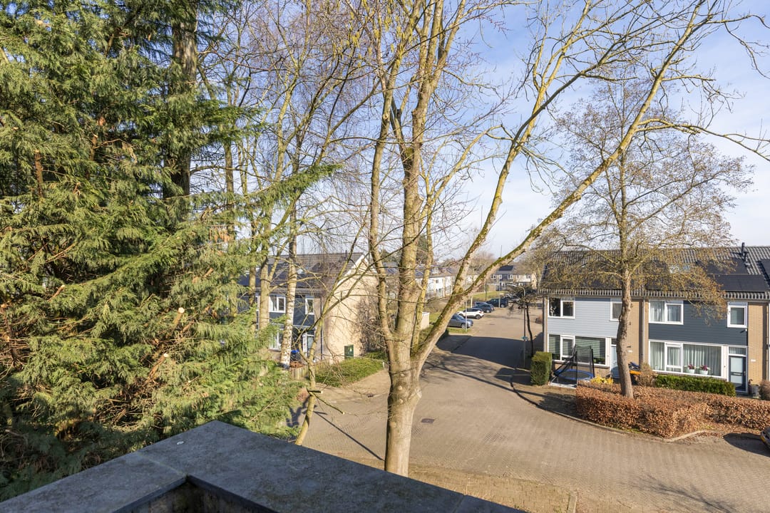 Foto 41 van Nijenheim 6302