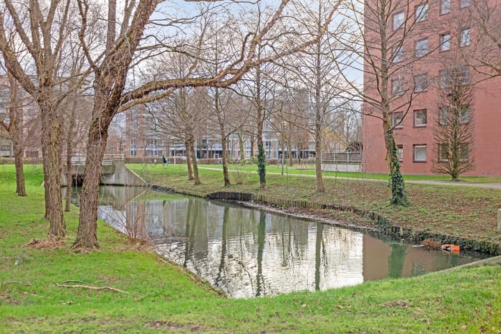 Foto 27 van Berlaarstraat 32