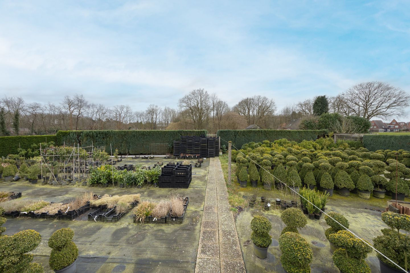 Foto 4 van Hogestraat 6-A