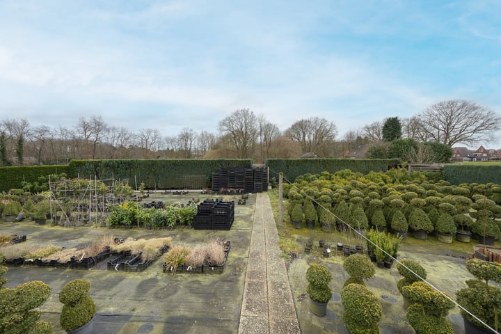 Foto 4 van Hogestraat 6-A
