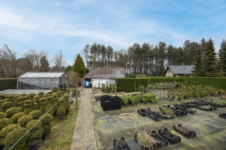 Foto 30 van Hogestraat 6-A