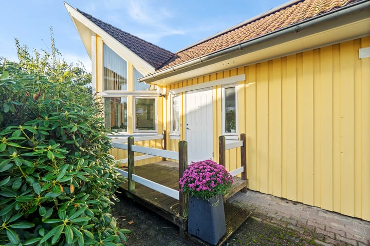 Foto 7 van Vuurdoorn 6