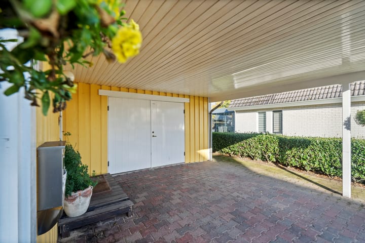 Foto 8 van Vuurdoorn 6