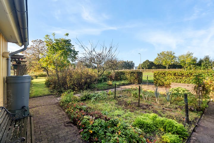 Foto 45 van Vuurdoorn 6