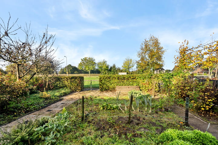 Foto 46 van Vuurdoorn 6