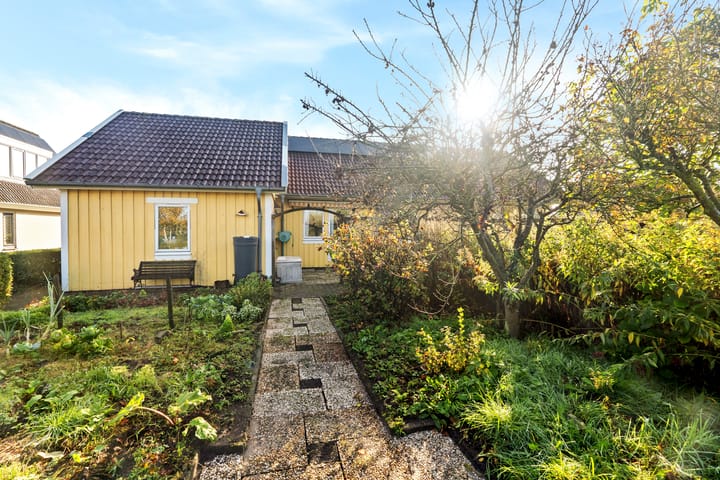 Foto 48 van Vuurdoorn 6