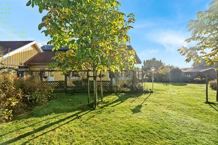 Foto 49 van Vuurdoorn 6