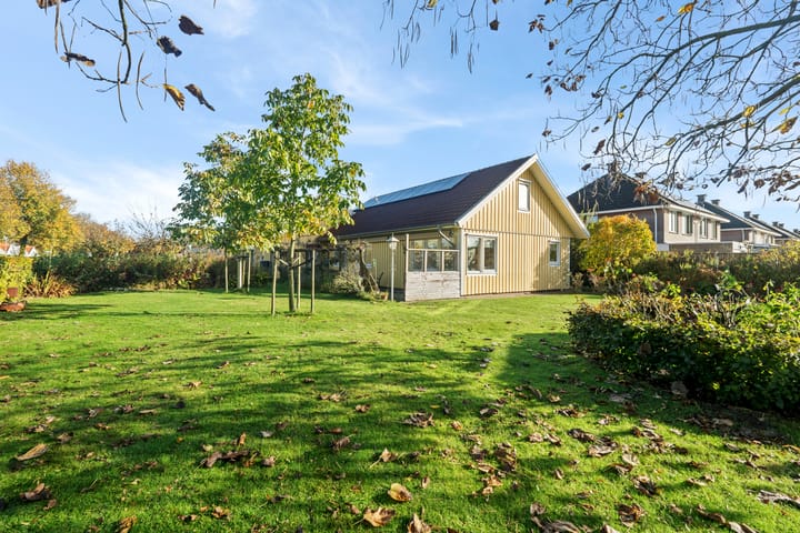 Foto 50 van Vuurdoorn 6