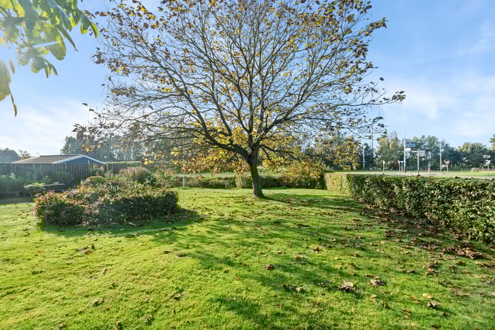 Foto 51 van Vuurdoorn 6