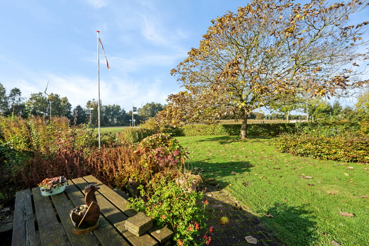 Foto 53 van Vuurdoorn 6