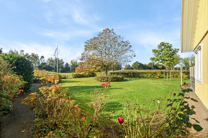 Foto 54 van Vuurdoorn 6