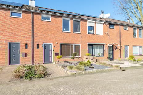 undefined main image