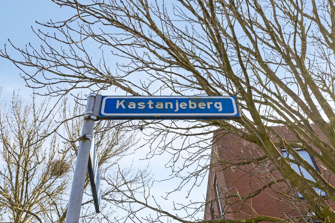 Foto 28 van Kastanjeberg 95