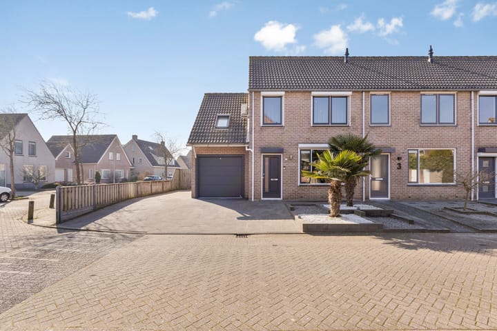 Foto 2 van Tarweakker 1