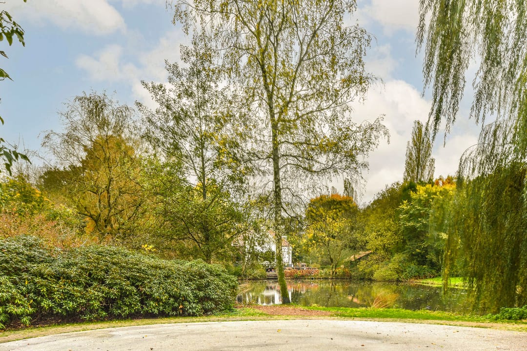 Foto 23 van Sibogastraat 63