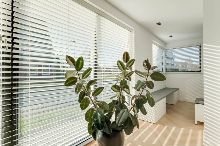 Photo 24 of Heemraad 1