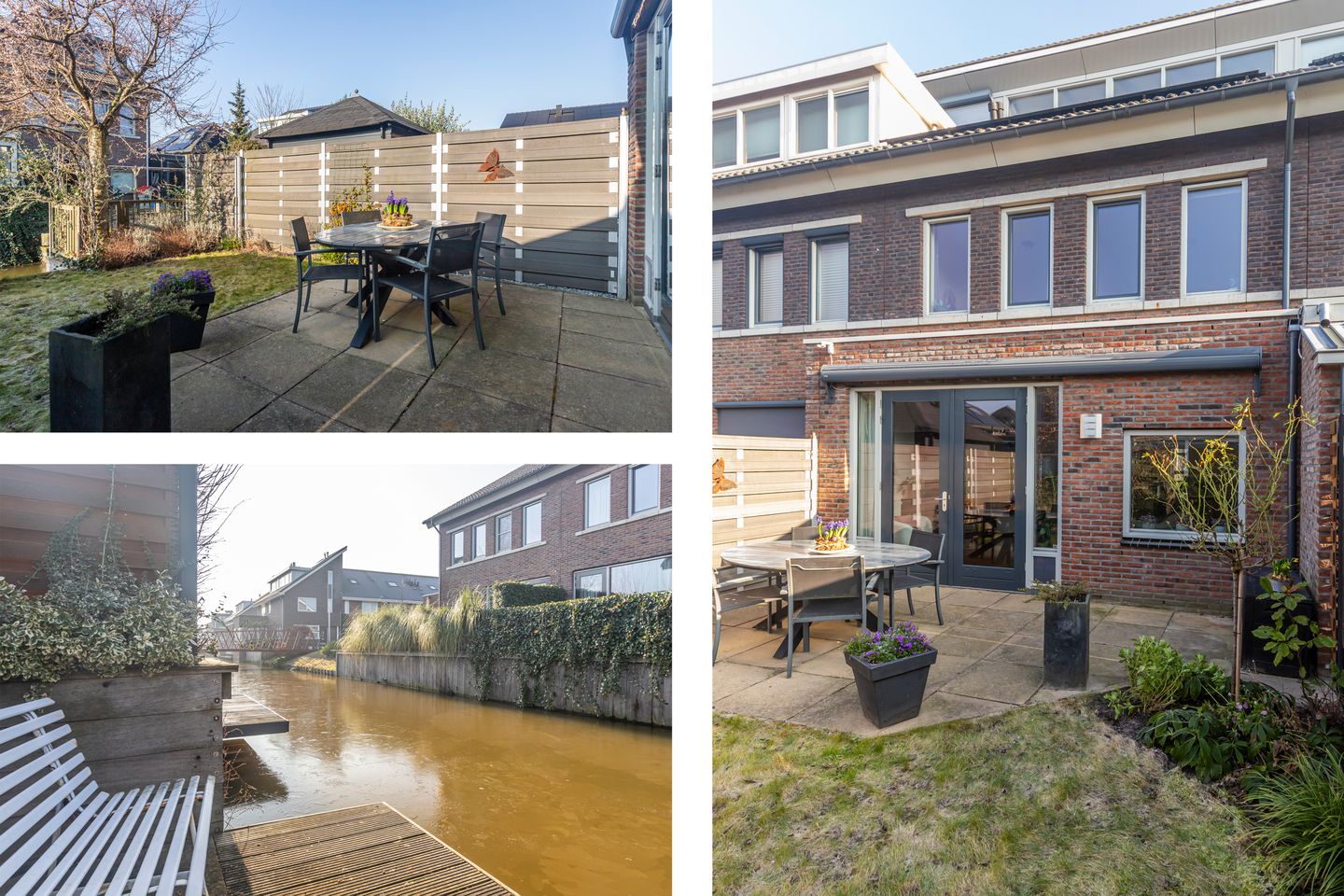 Foto 4 van Bruinvis 3