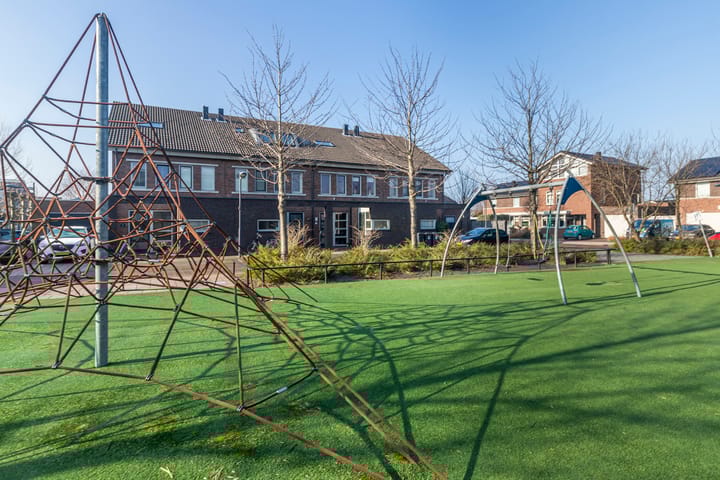 Foto 5 van Bruinvis 3