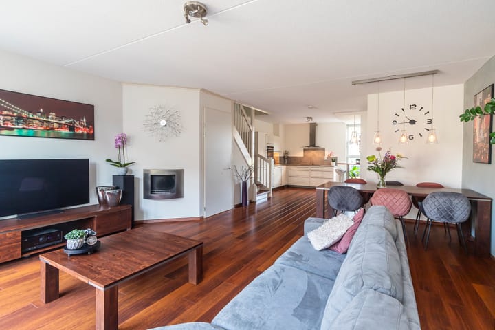 Foto 14 van Bruinvis 3