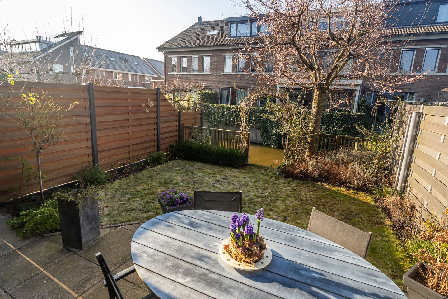 Foto 19 van Bruinvis 3