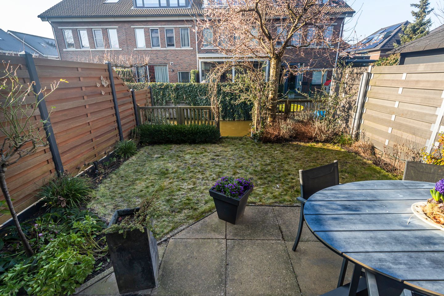 Foto 20 van Bruinvis 3