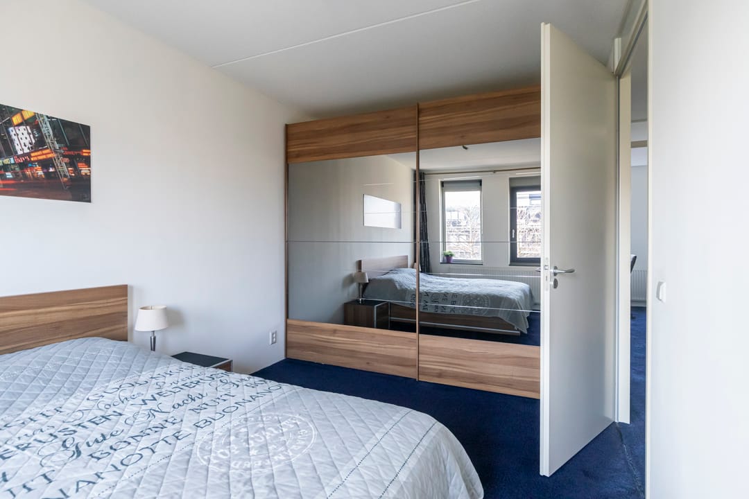 Foto 23 van Bruinvis 3