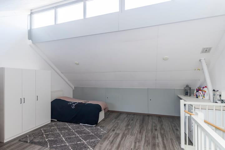 Foto 31 van Bruinvis 3