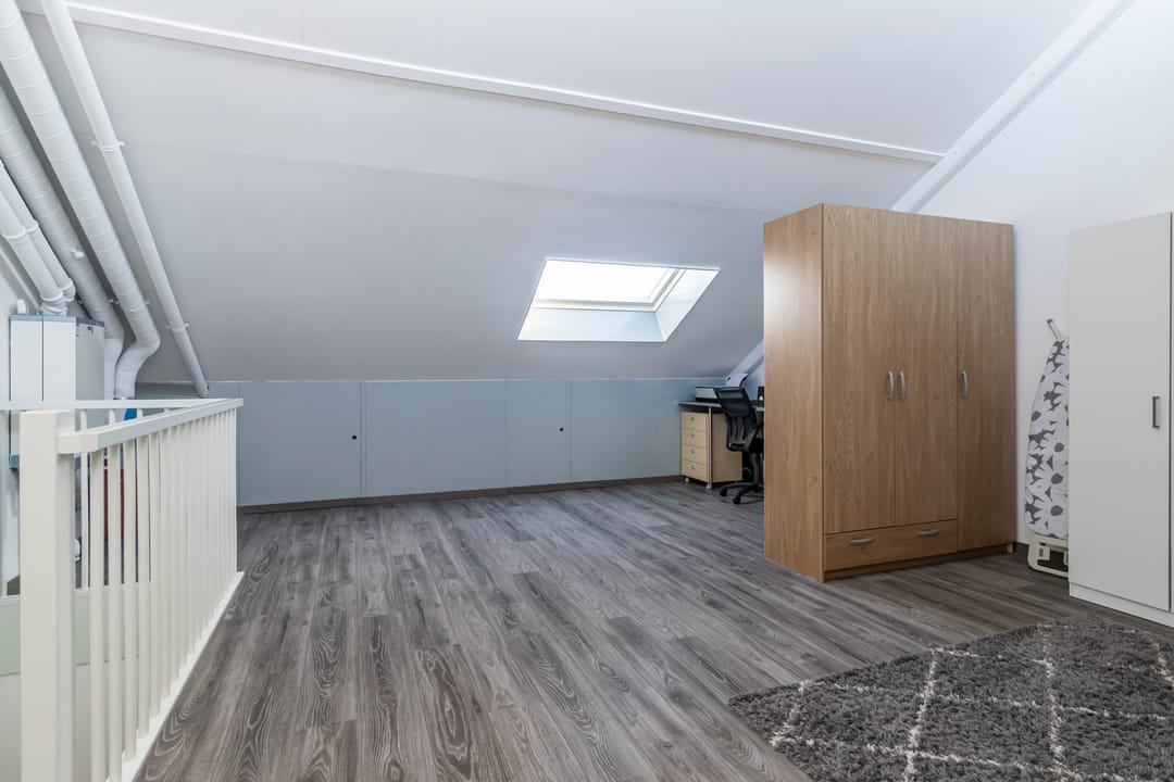 Foto 32 van Bruinvis 3