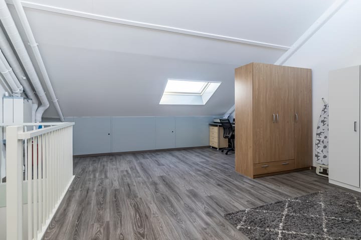 Foto 32 van Bruinvis 3