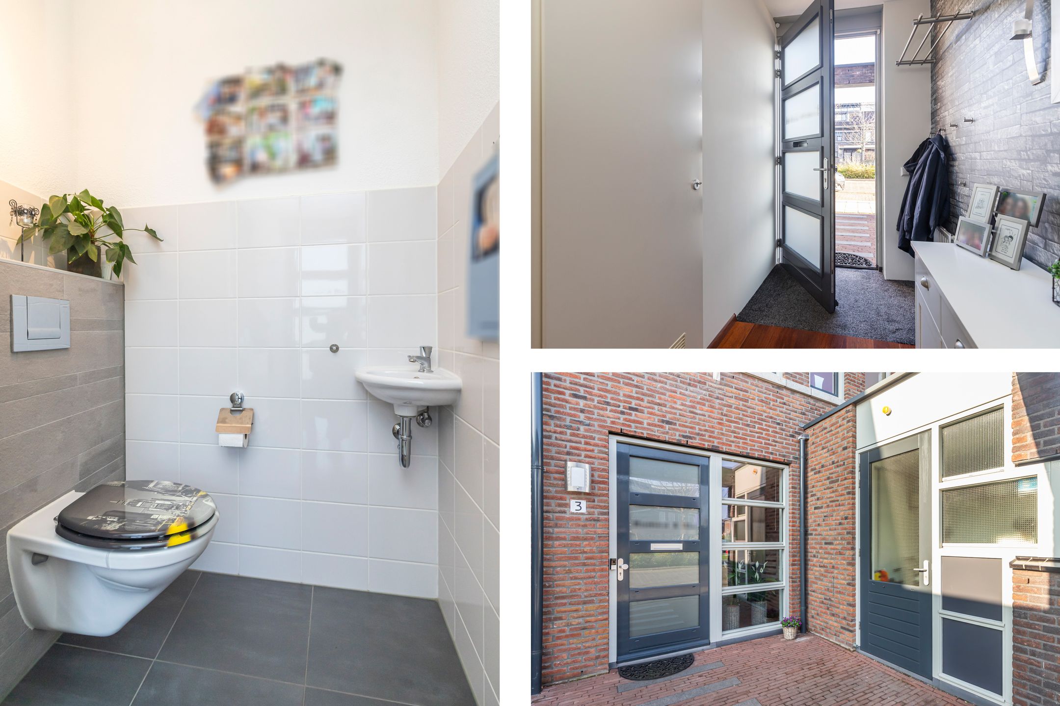 Foto 33 van Bruinvis 3