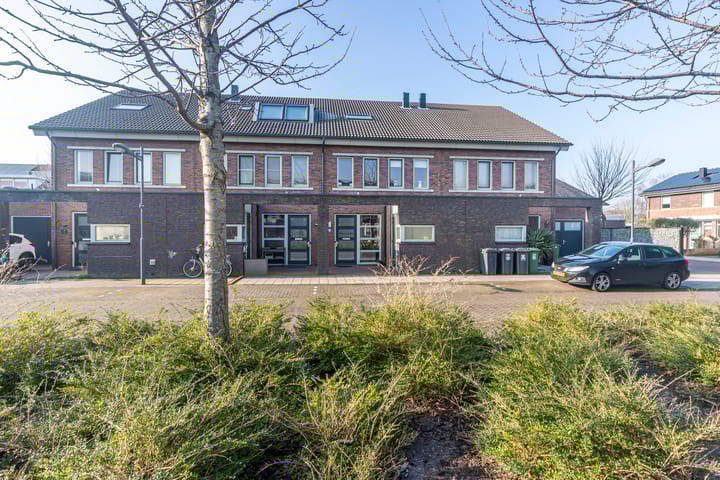 Foto 34 van Bruinvis 3