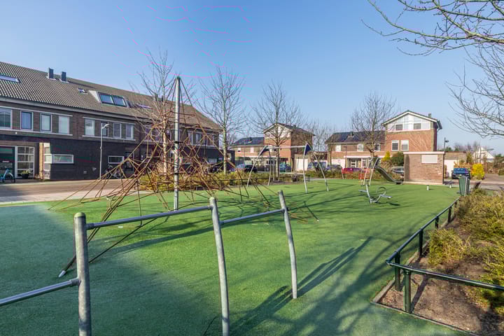 Foto 35 van Bruinvis 3