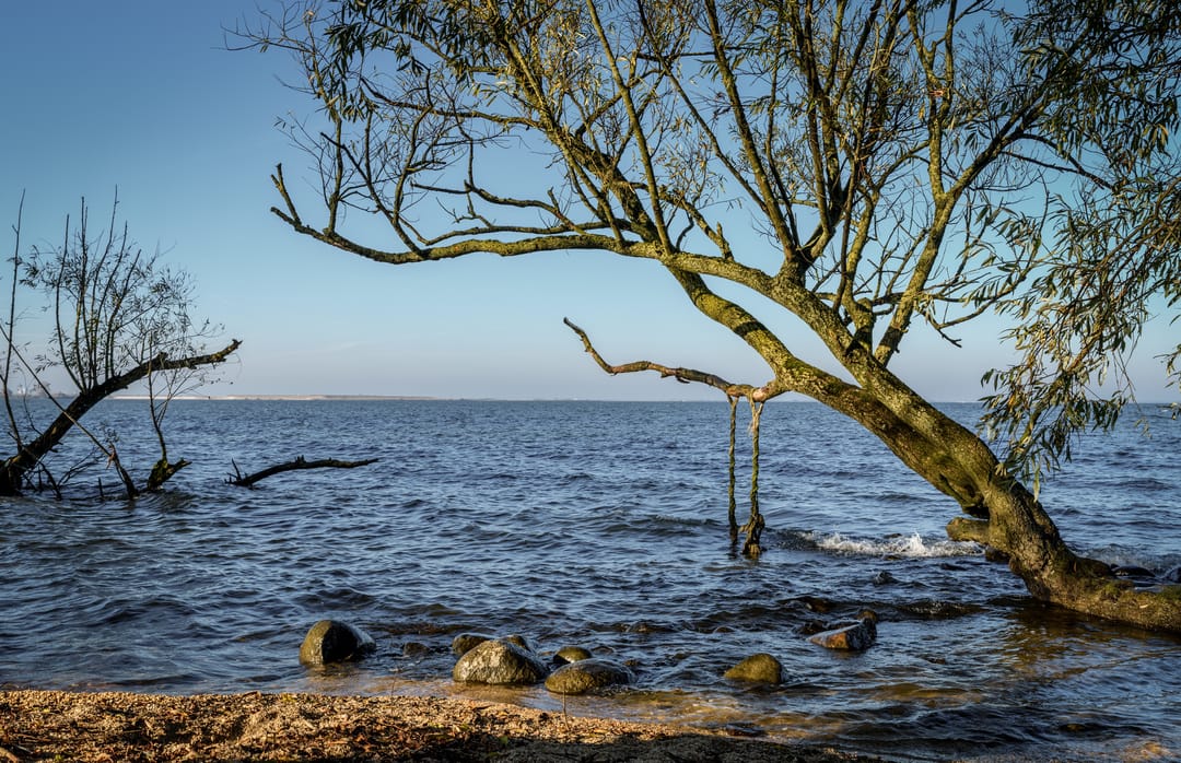 Foto 23 van E.J. Ruijgplein 8