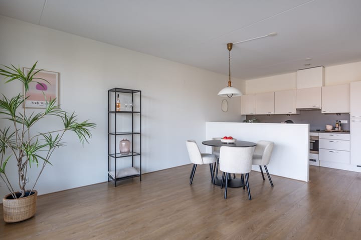 Photo 8 of Broeder Alarmstraat 51