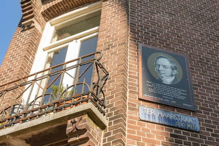 Foto 30 van Ter Haarstraat 29-C